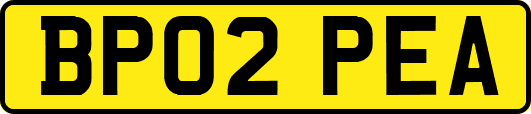 BP02PEA