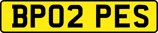 BP02PES