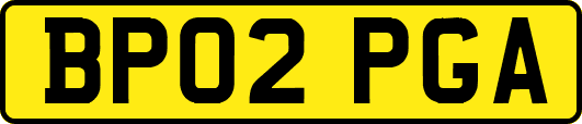 BP02PGA