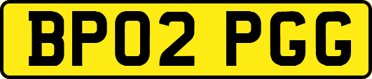 BP02PGG