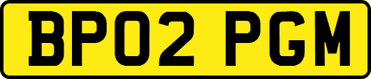 BP02PGM