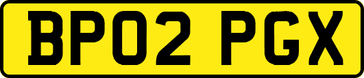 BP02PGX
