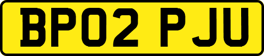 BP02PJU