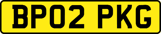 BP02PKG