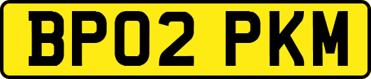 BP02PKM