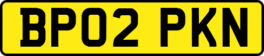 BP02PKN