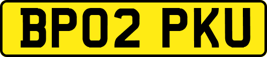 BP02PKU