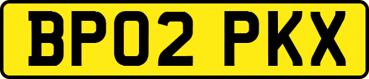 BP02PKX