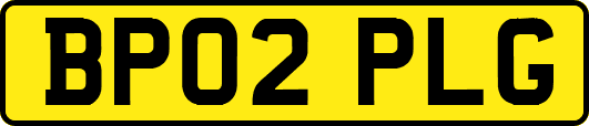 BP02PLG