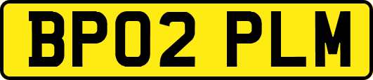 BP02PLM