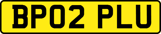 BP02PLU