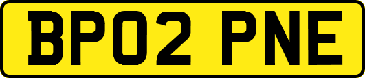 BP02PNE