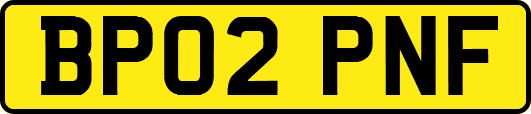 BP02PNF