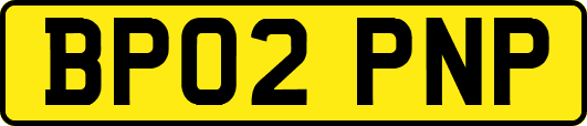 BP02PNP