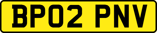 BP02PNV
