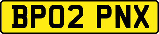 BP02PNX