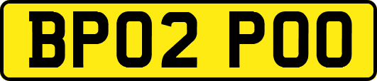 BP02POO