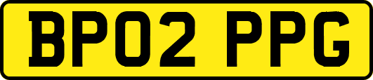 BP02PPG