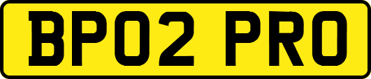 BP02PRO