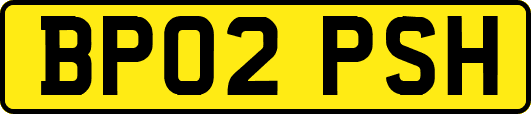 BP02PSH