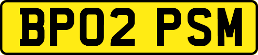 BP02PSM