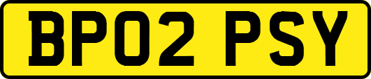 BP02PSY