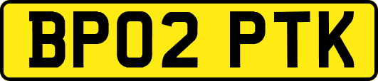 BP02PTK