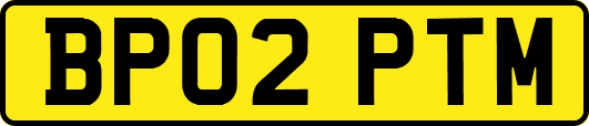 BP02PTM