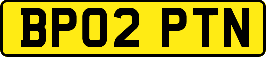 BP02PTN