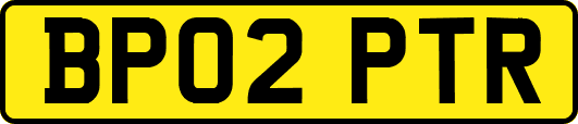 BP02PTR