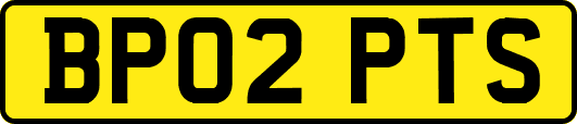 BP02PTS