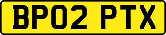 BP02PTX