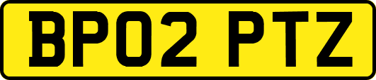 BP02PTZ