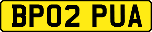 BP02PUA