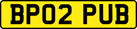 BP02PUB