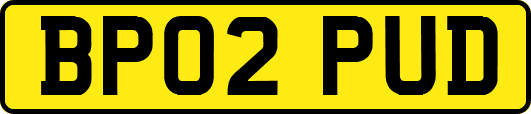 BP02PUD