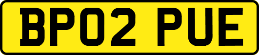 BP02PUE