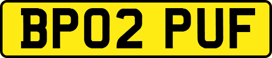 BP02PUF