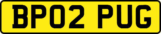 BP02PUG