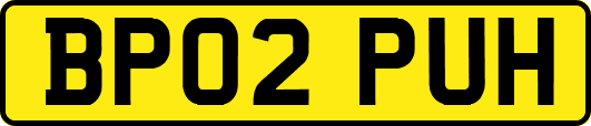 BP02PUH