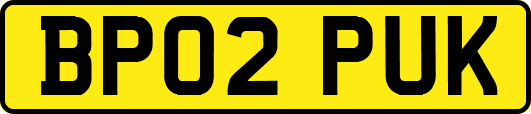 BP02PUK