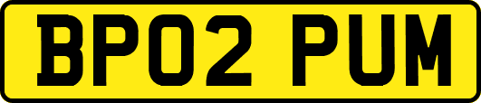 BP02PUM