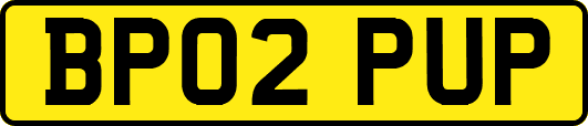 BP02PUP
