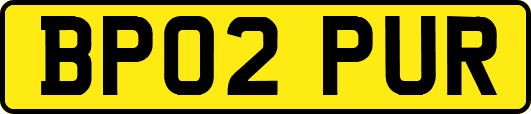 BP02PUR