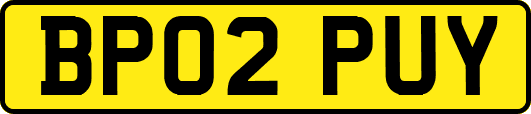 BP02PUY