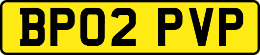 BP02PVP