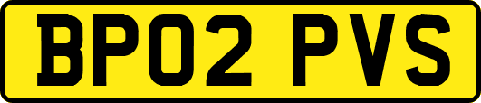 BP02PVS