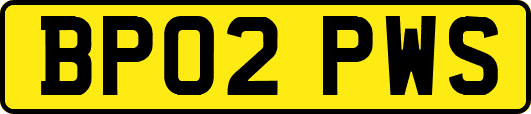 BP02PWS