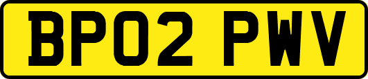 BP02PWV