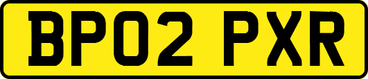 BP02PXR